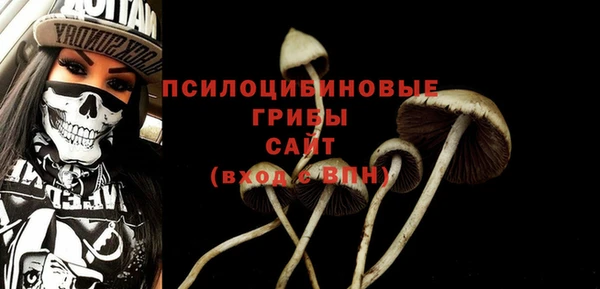 СК Зеленокумск