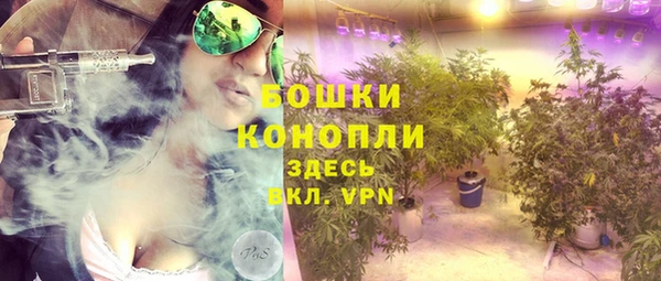 СК Зеленокумск