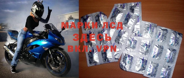 СК Зеленокумск