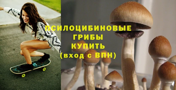 2c-b Заволжье