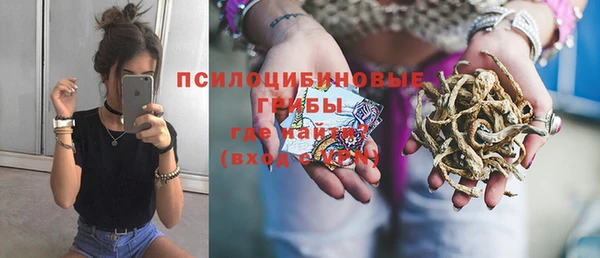 ECSTASY Зеленодольск